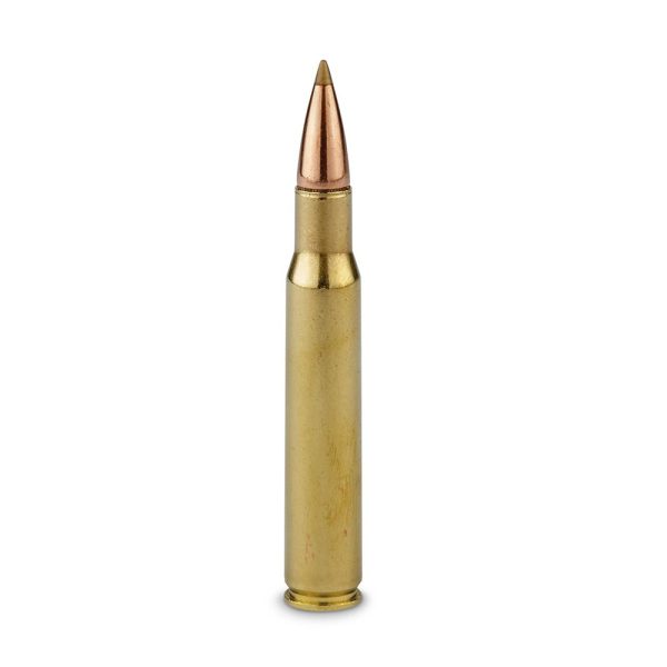 Streljivo Remington Accutip 30 06 165 GR 2