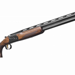 cz all american 3d r